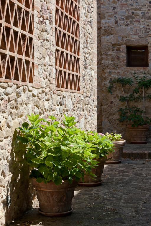 Agriturismo Cignan Rosso Villa Castellina in Chianti Buitenkant foto