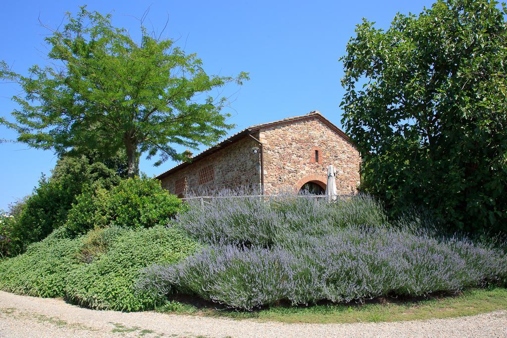 Agriturismo Cignan Rosso Villa Castellina in Chianti Buitenkant foto