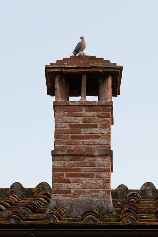 Agriturismo Cignan Rosso Villa Castellina in Chianti Buitenkant foto