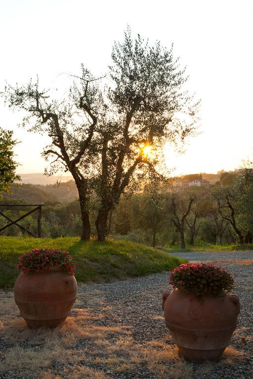 Agriturismo Cignan Rosso Villa Castellina in Chianti Buitenkant foto