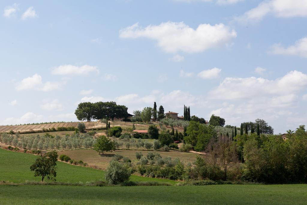 Agriturismo Cignan Rosso Villa Castellina in Chianti Buitenkant foto