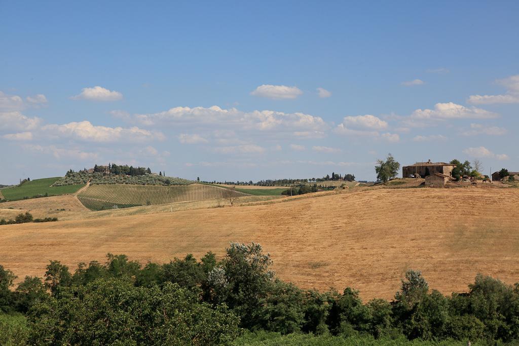 Agriturismo Cignan Rosso Villa Castellina in Chianti Buitenkant foto