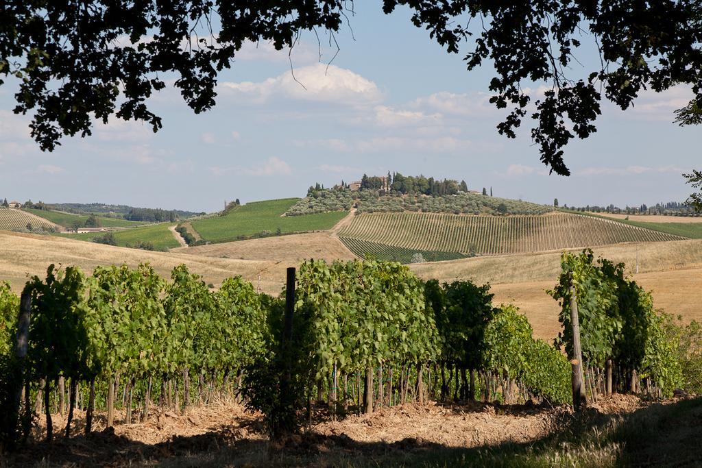 Agriturismo Cignan Rosso Villa Castellina in Chianti Buitenkant foto