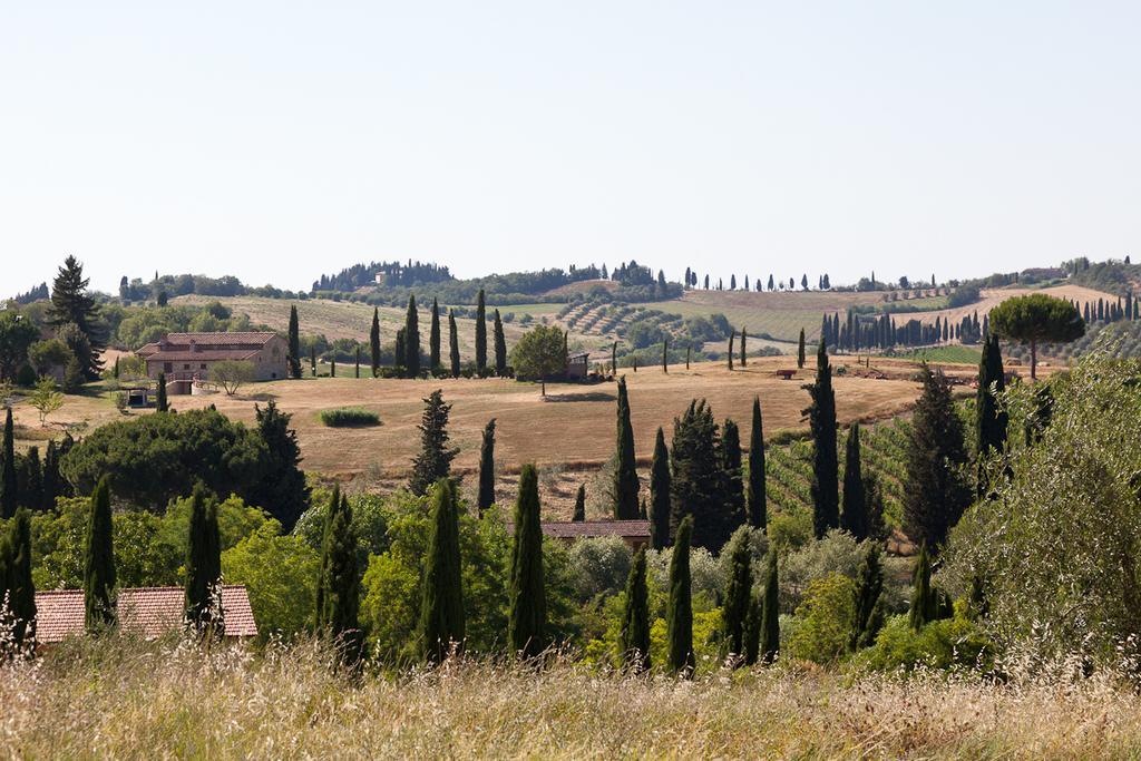 Agriturismo Cignan Rosso Villa Castellina in Chianti Buitenkant foto